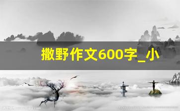 撒野作文600字_小说作文500字