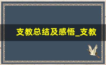 支教总结及感悟_支教工作心得和感悟