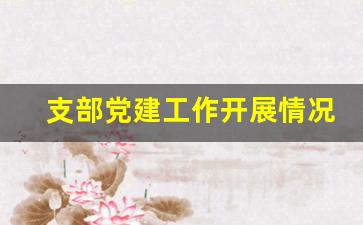 支部党建工作开展情况汇报_主题党日开展情况总结报告