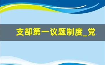 支部第一议题制度_党组织第一议题制度模板