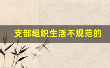 支部组织生活不规范的整改措施_党支部制度落实方面存在的问题