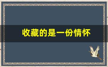 收藏的是一份情怀