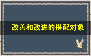 改善和改进的搭配对象不同