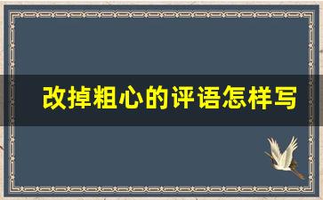 改掉粗心的评语怎样写_孩子粗心家长评语改写