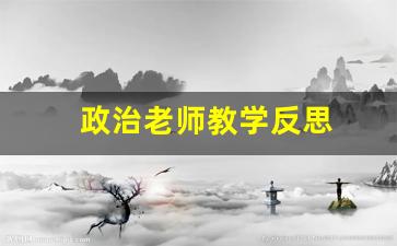 政治老师教学反思