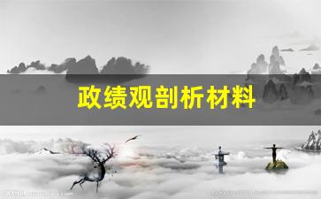 政绩观剖析材料