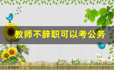 教师不辞职可以考公务员吗