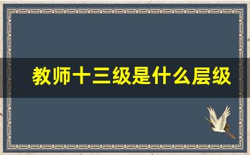 教师十三级是什么层级_教师队伍建设层级