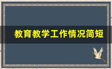 教育教学工作情况简短