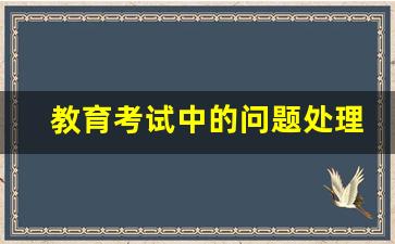 教育考试中的问题处理_处理问题的能力