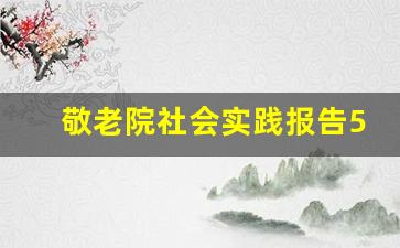 敬老院社会实践报告500字_在敬老院的实践成果