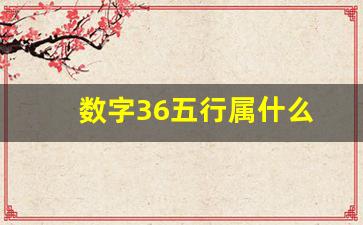 数字36五行属什么