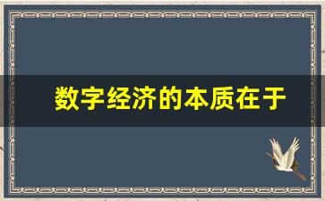 数字经济的本质在于