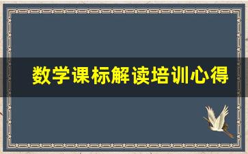 数学课标解读培训心得体会_对数学新课标的认识及理解