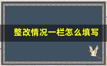 整改情况一栏怎么填写