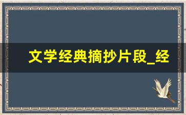 文学经典摘抄片段_经典书籍段落摘抄150左右