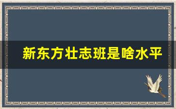 新东方壮志班是啥水平_新东方的英语班适合什么样的人