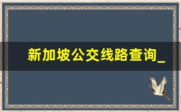 新加坡公交线路查询_公交车时间实时查询用什么软件