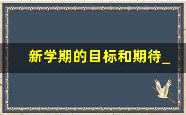 新学期的目标和期待_新学期的目标与期待