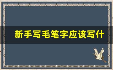 新手写毛笔字应该写什么字_软笔书法刚学可以写什么字