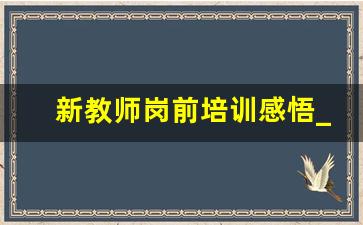 新教师岗前培训感悟_教师岗前培训心得体会和感悟