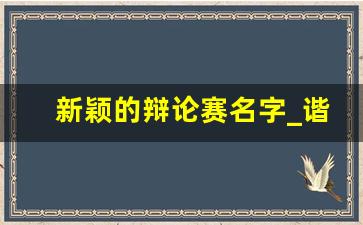 新颖的辩论赛名字_谐音梗辩论队名