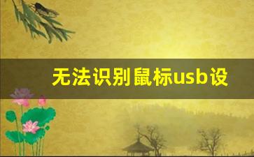 无法识别鼠标usb设备如何解决_笔记本不识别鼠标