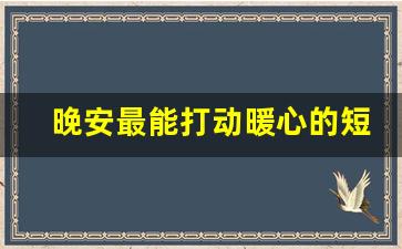 晚安最能打动暖心的短句