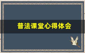 普法课堂心得体会