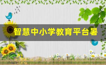 智慧中小学教育平台暑假研修_智慧中小学平台2023暑期研修