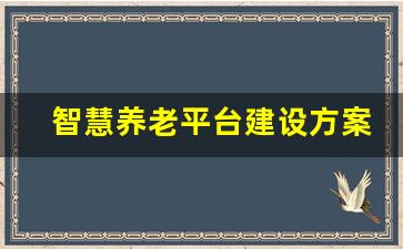 智慧养老平台建设方案_养老信息化管理系统