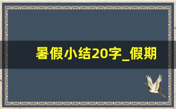 暑假小结20字_假期小结怎么写50字