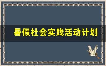 暑假社会实践活动计划_社会实践活动安排