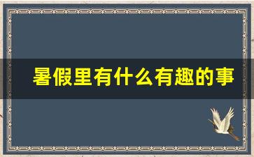 暑假里有什么有趣的事情