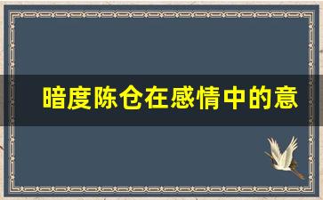 暗度陈仓在感情中的意思_如果一个人要暗度陈仓该怎么化解