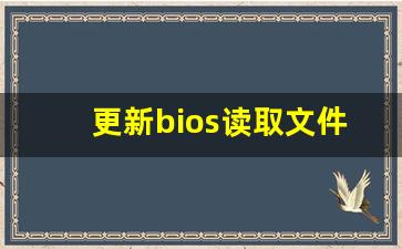 更新bios读取文件失败