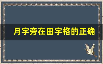 月字旁在田字格的正确写法