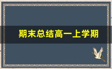 期末总结高一上学期