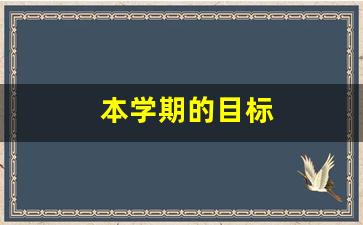 本学期的目标