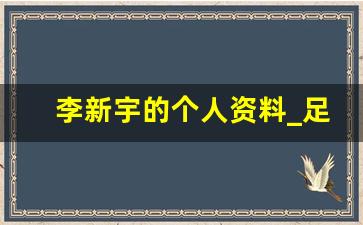 李新宇的个人资料_足球李新宇