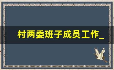 村两委班子成员工作_村两委干部个人总结