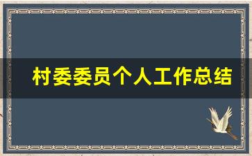 村委委员个人工作总结_村委委员年度工作总结