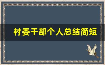 村委干部个人总结简短_村干部法律明白人个人总结