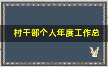 村干部个人年度工作总结_2022年村委个人工作总结