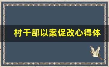 村干部以案促改心得体会范文