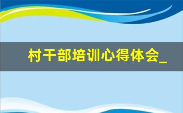 村干部培训心得体会_2023年村干部个人培训小结