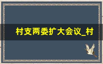 村支两委扩大会议_村两委研究会议记录