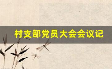 村支部党员大会会议记录_2021年7月农村党员会议记录