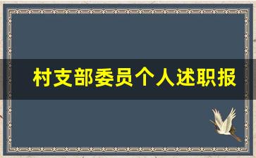 村支部委员个人述职报告_村支部届中述职报告