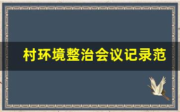 村环境整治会议记录范文_村委会开展环境卫生整治会议记录